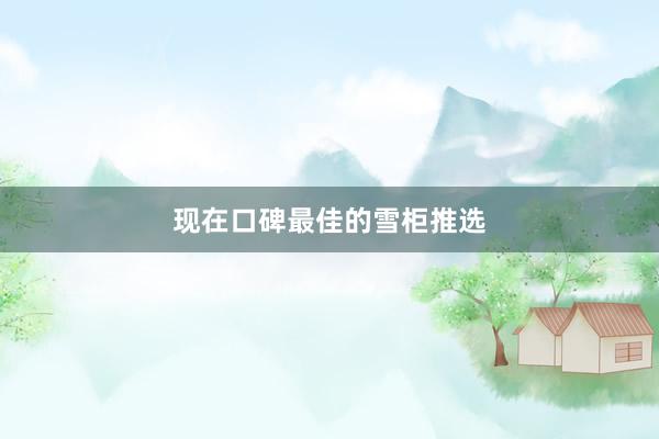 现在口碑最佳的雪柜推选