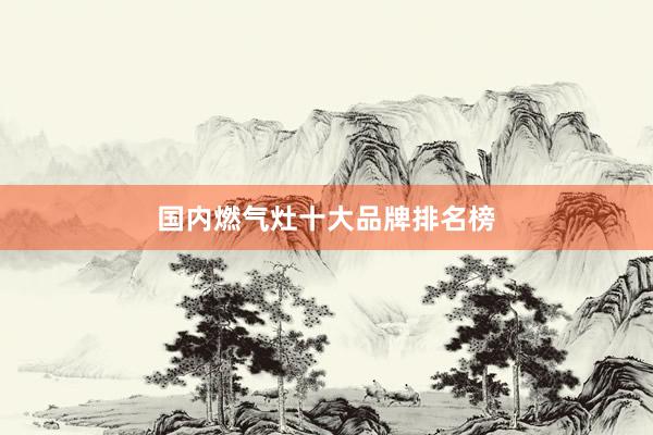 国内燃气灶十大品牌排名榜