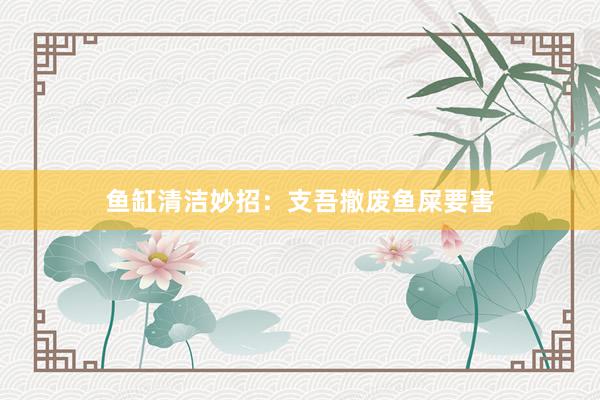 鱼缸清洁妙招：支吾撤废鱼屎要害